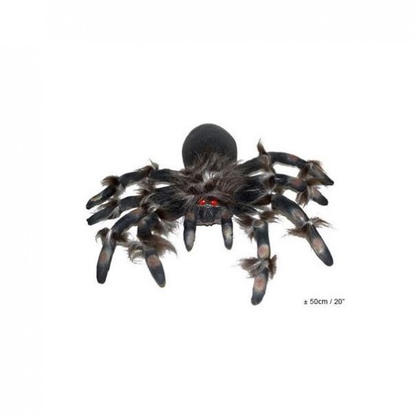 Grosse Spinne, ca. 34 x 56 x 7 cm