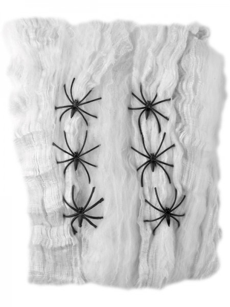 Spinnennetz mit 6 Spinnen, weiss, 65 g
