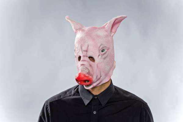 Gummimaske Schwein