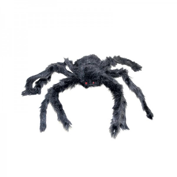 Haarige Spinne, ca. 40 cm