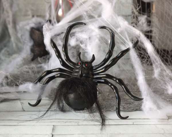 Deko Spinne mit Spinnennetz