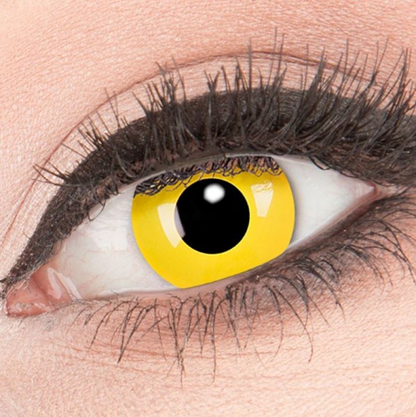 Kontaktlinsen Yellow, 12 Monatslinsen