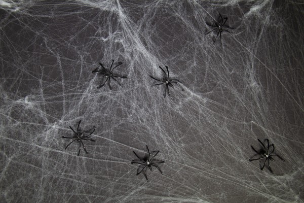 Spinnennetz weiss, gross mit 6 Spinnen, 500 Gramm